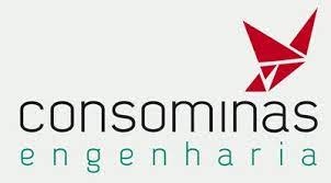 Logo Consominas